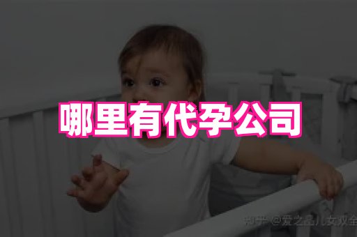 无锡助孕网 1