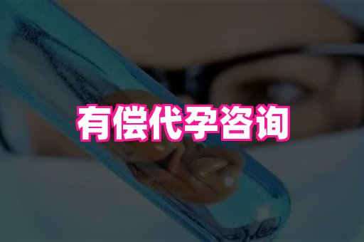 无锡助孕网 3